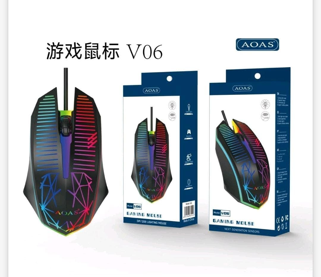 Mouse v06